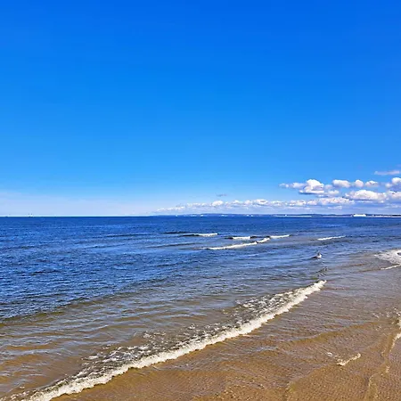 Seepferdchen * Heringsdorf (Usedom)