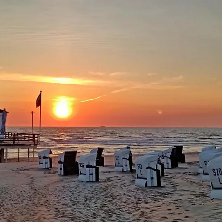 Seepferdchen * Heringsdorf (Usedom)