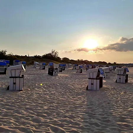 Apartment Seepferdchen Heringsdorf (Usedom)
