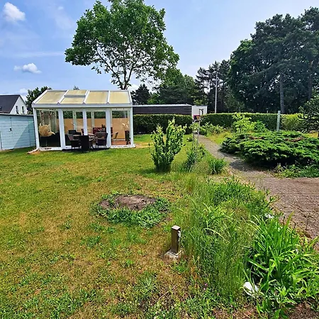 Seepferdchen * Heringsdorf (Usedom)